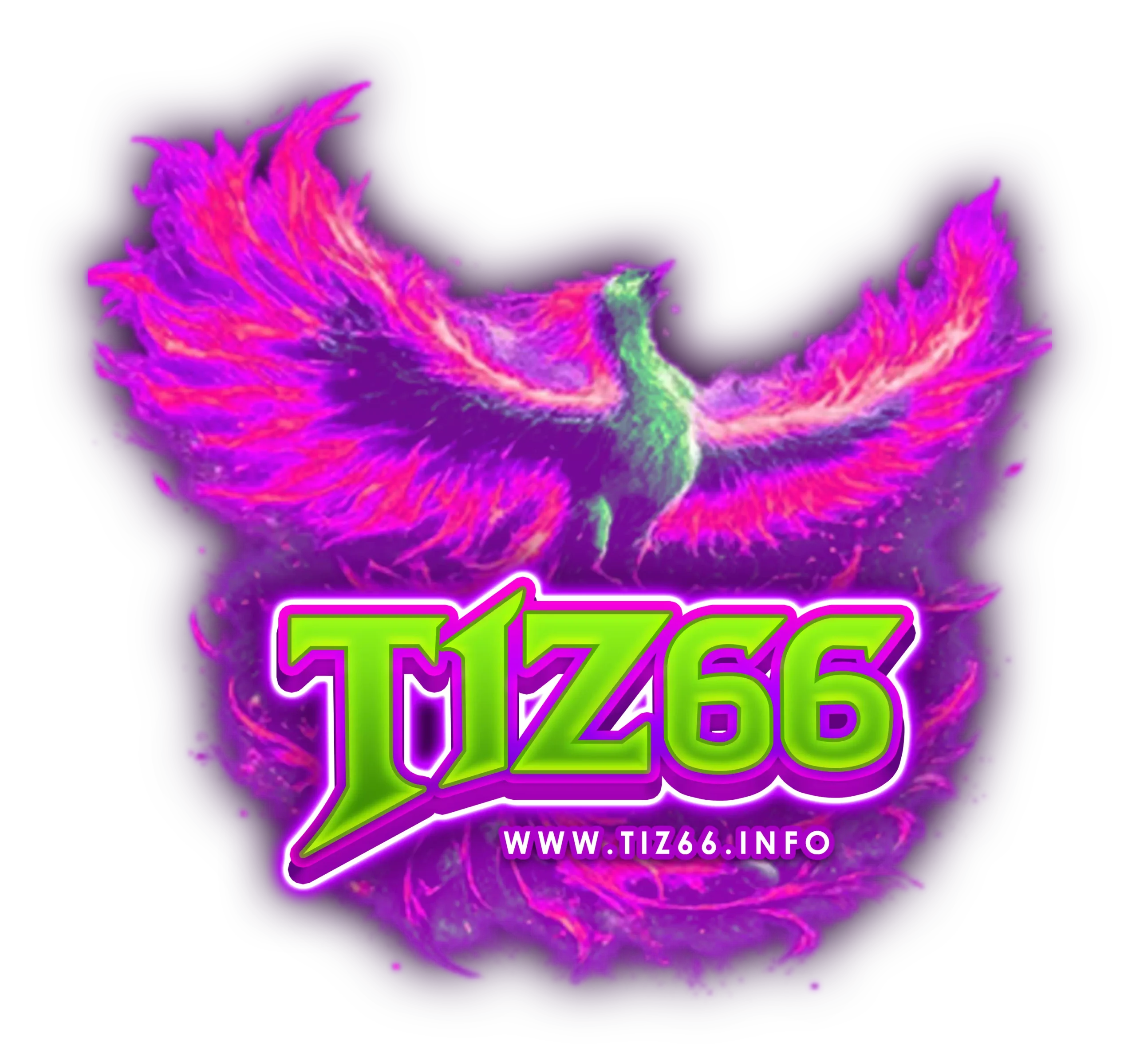 tiz66